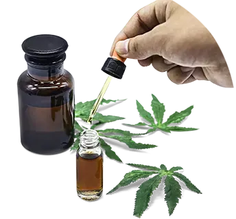 Cannabis oil extract