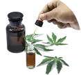 Cannabis oil extract