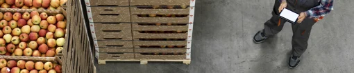 Apples in crates for shipping