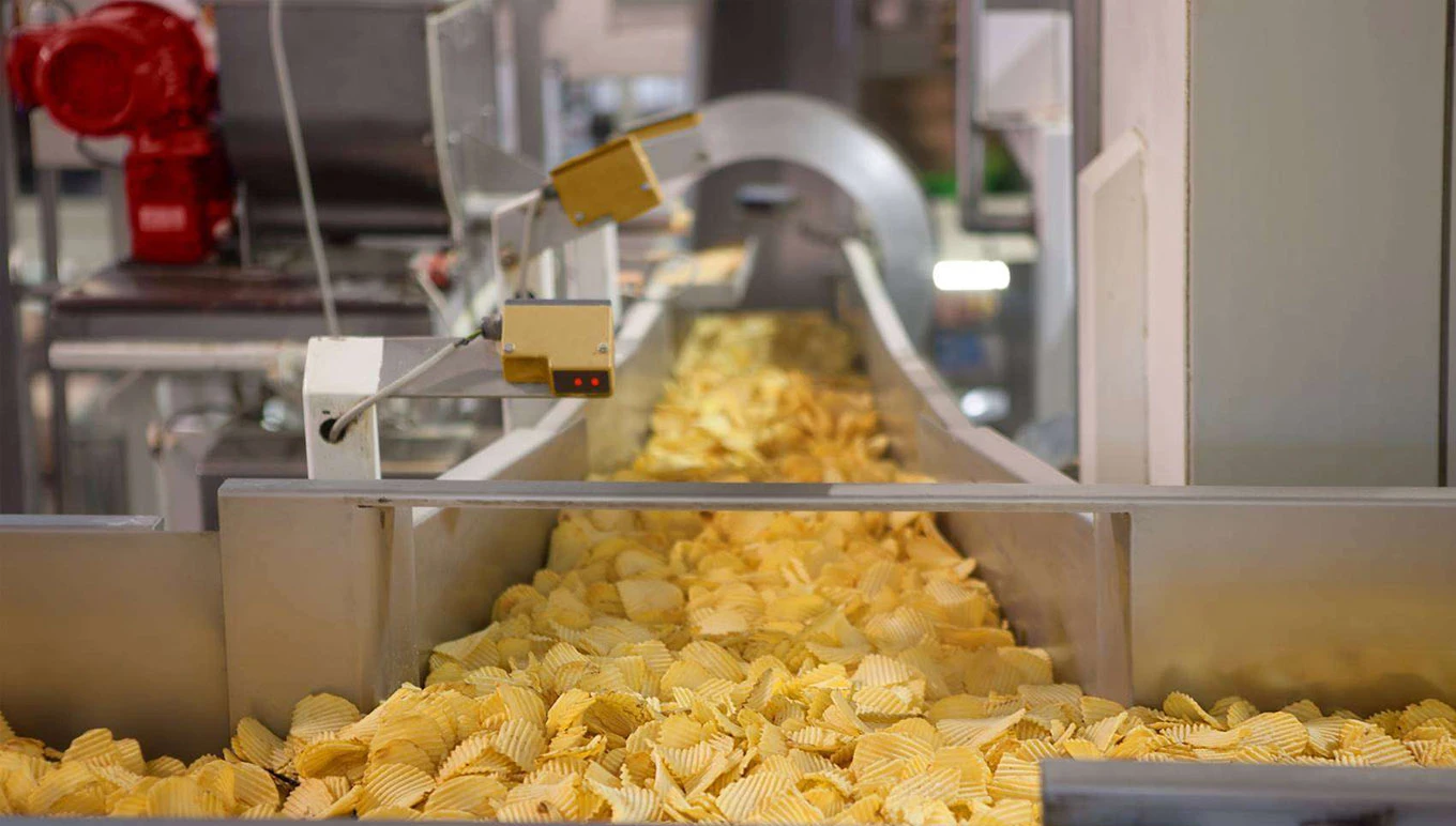 potato chip factory conveyor