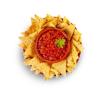 Salsa surrounded by chips in a bowl.