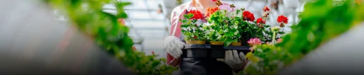 Woman walking through nursery with potted flowers