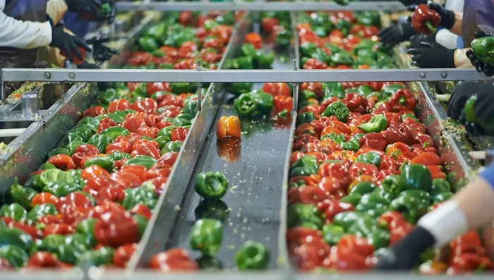 card-webinar-an-introduction-to-apteans-fresh-produce-specific-erp-solution-17-10-2024