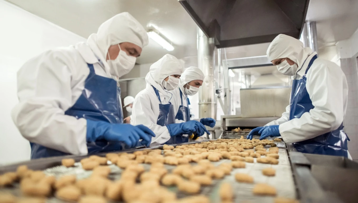 Food factory workers processing nuggets.