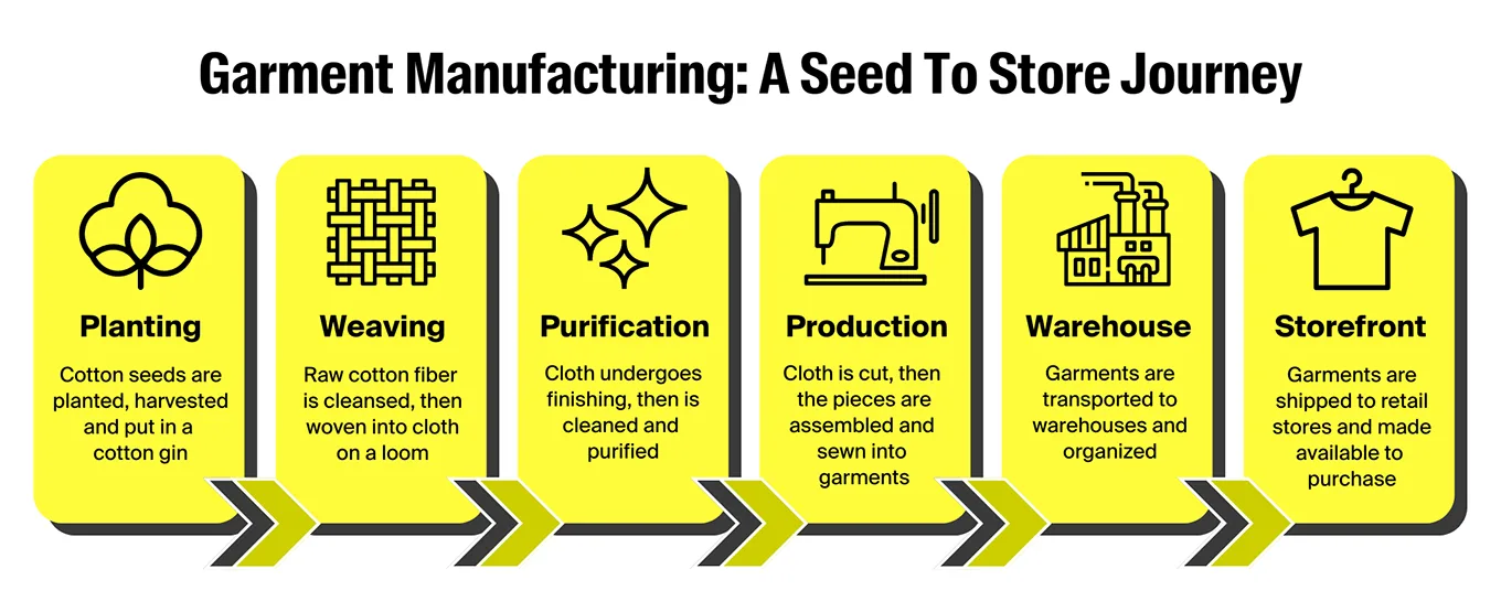 card-from-seed-to-store-roadmap-infographic