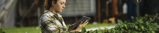 Man in greenhouse holding tablet