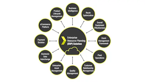 Wheel diagram for ERP