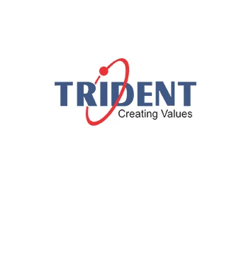 Partner Card - Trident company logo
