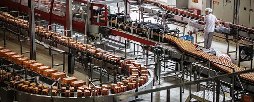  Carbonated drink bottles moving through a beverage factory production line
