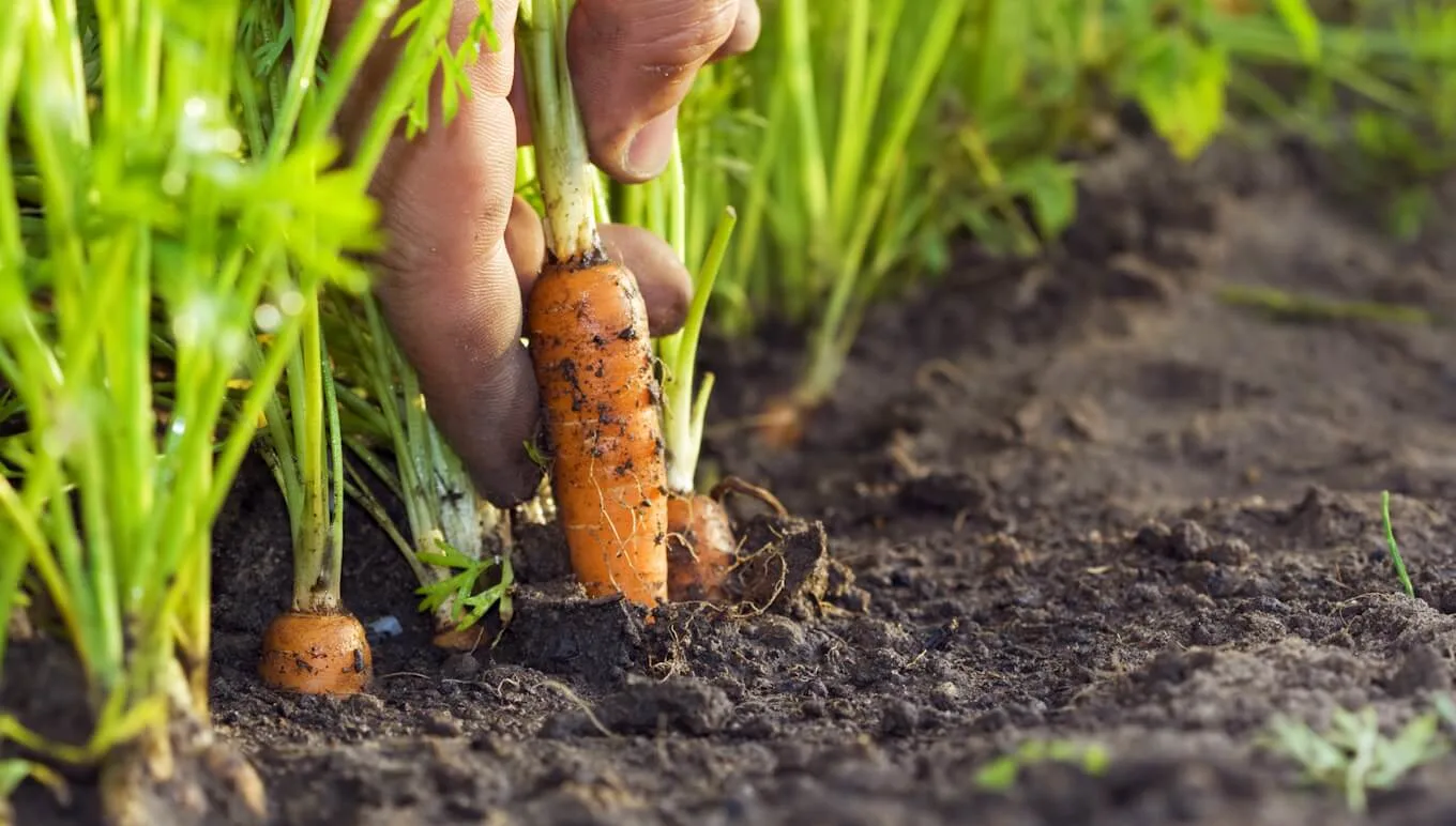 Supporting a Circular Economy in the Food and Beverage Industry