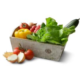 Wood bin with fresh garden vegetables including peppers, tomatoes, cucumber and romaine lettuce