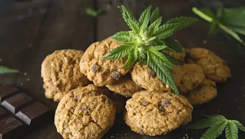 Chocolate cookies