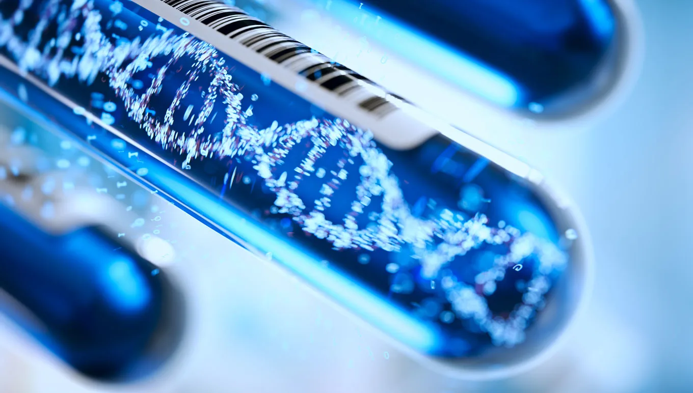 How To Achieve Comprehensive, Faster, More Efficient IP Sequence Searching