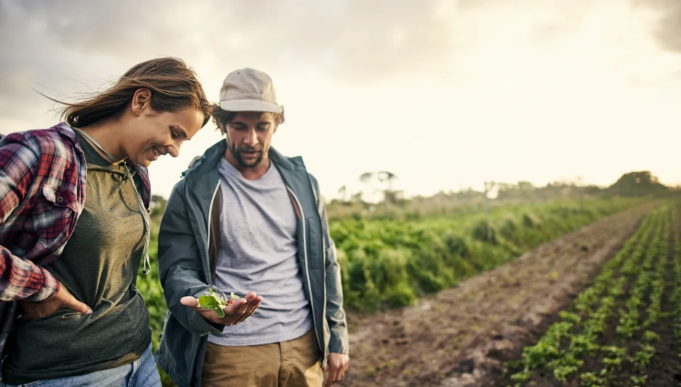Een frisse kijk op de AGF-industrie: bedrijfslandschap, uitdagingen, technologie en meer