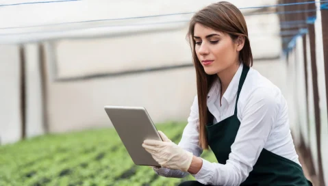 A fresh produce worker uses a tablet in a greenhouse.