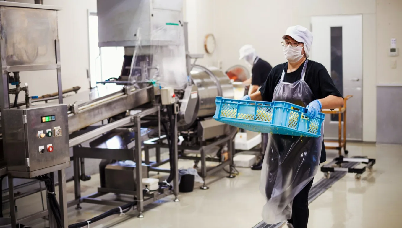 Start uw digitale transformatie in de voedings- en drankenindustrie met software