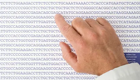 genome sequence