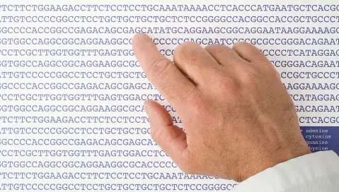 genome sequence