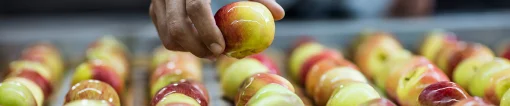 Selecting apples