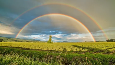 A double rainbow over a field of crops.