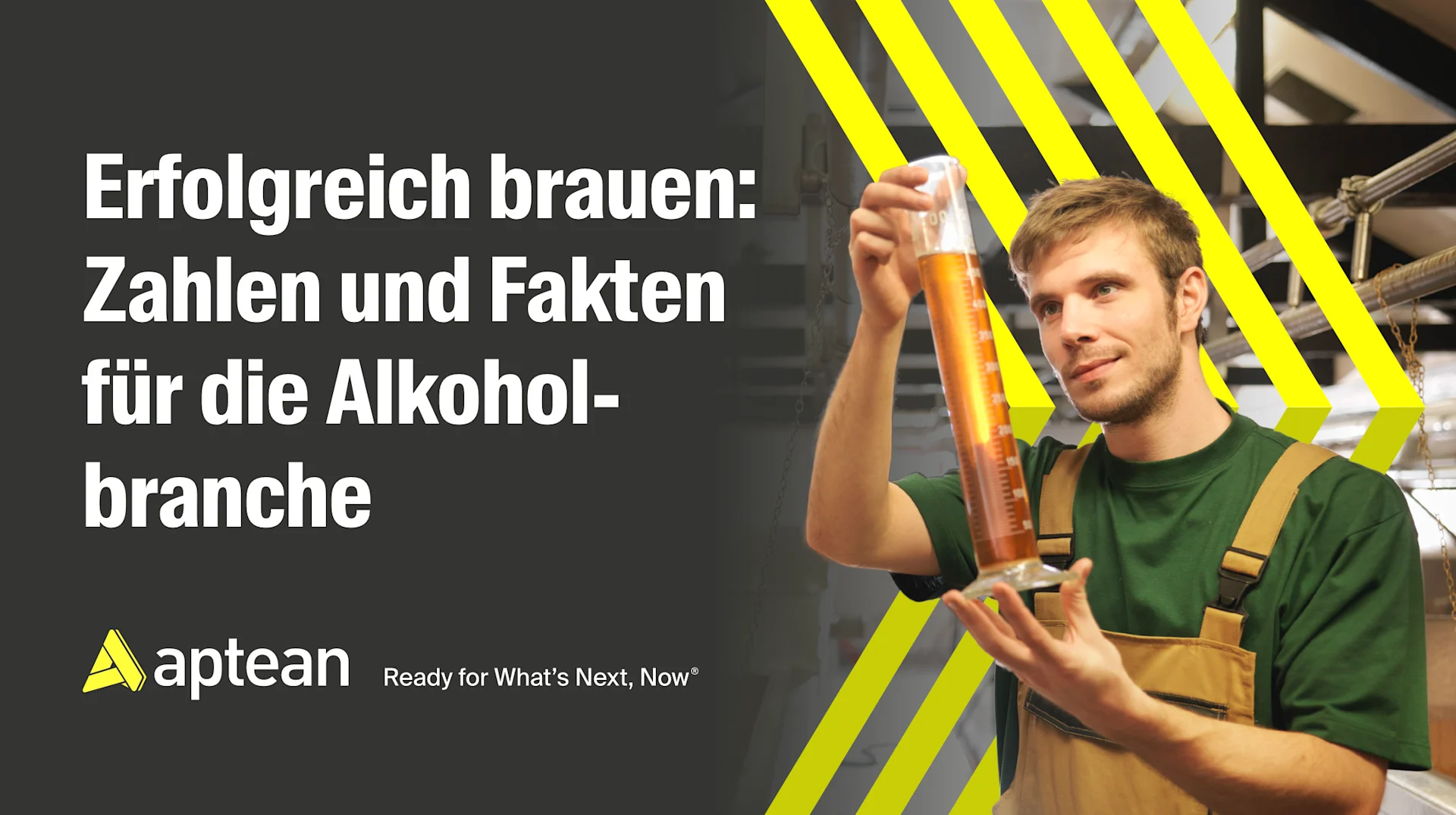 Brewing Success: Alcoholic Beverages Industry Insights