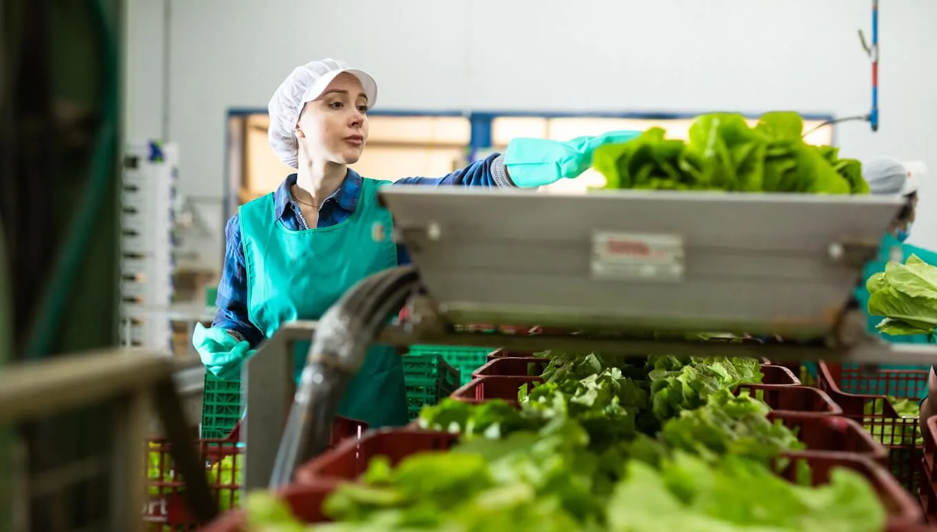 card-fresh-produce-erp-compliance-essentials
