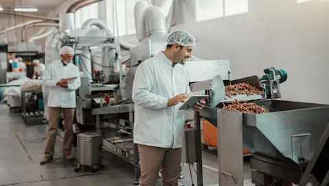 Food factory workers observe automated manufacturing lines running.