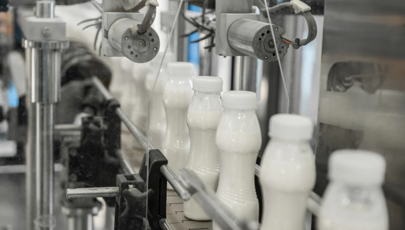 Milk bottles move down a conveyer line.