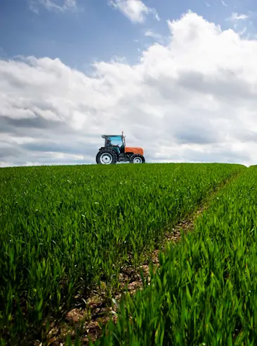 Tracteur dans un champ