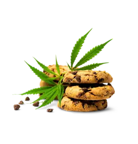 Cannabis cookie