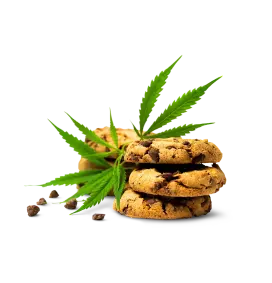 Cannabis-Keks