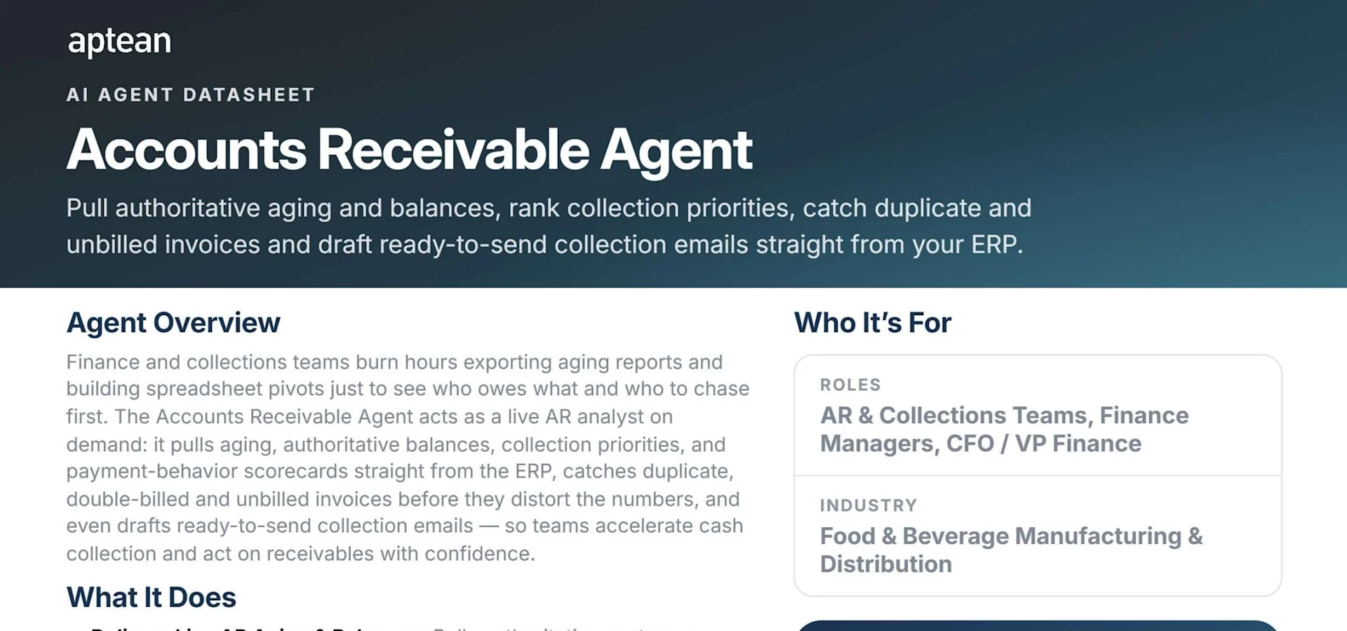 Accounts Receivable Agent Datasheet