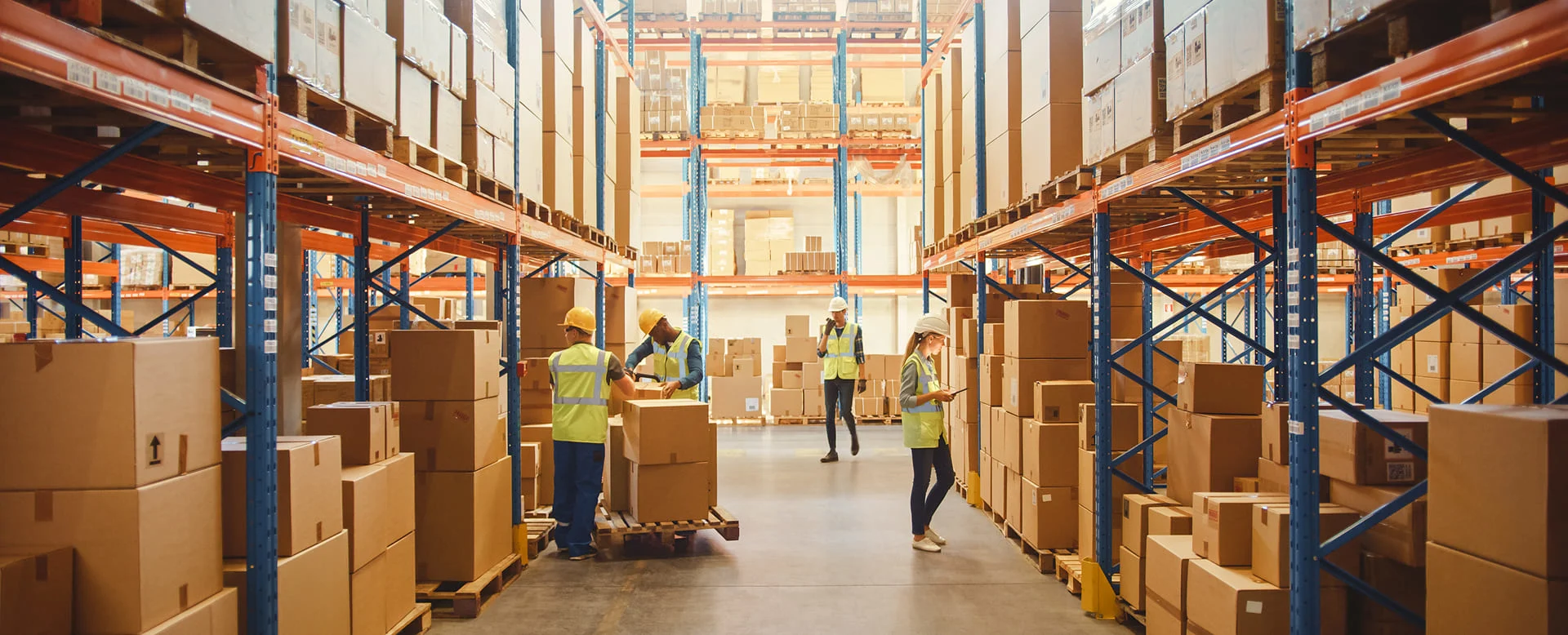 Eliminate Inefficiencies With Purpose-Built ERP