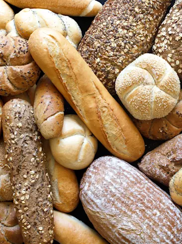 Collection of various loafs of bread.