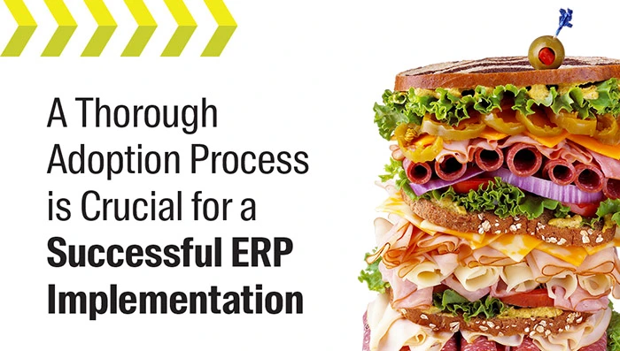 A Thorough Adoption Process is Crucial for a Successful ERP Implementation