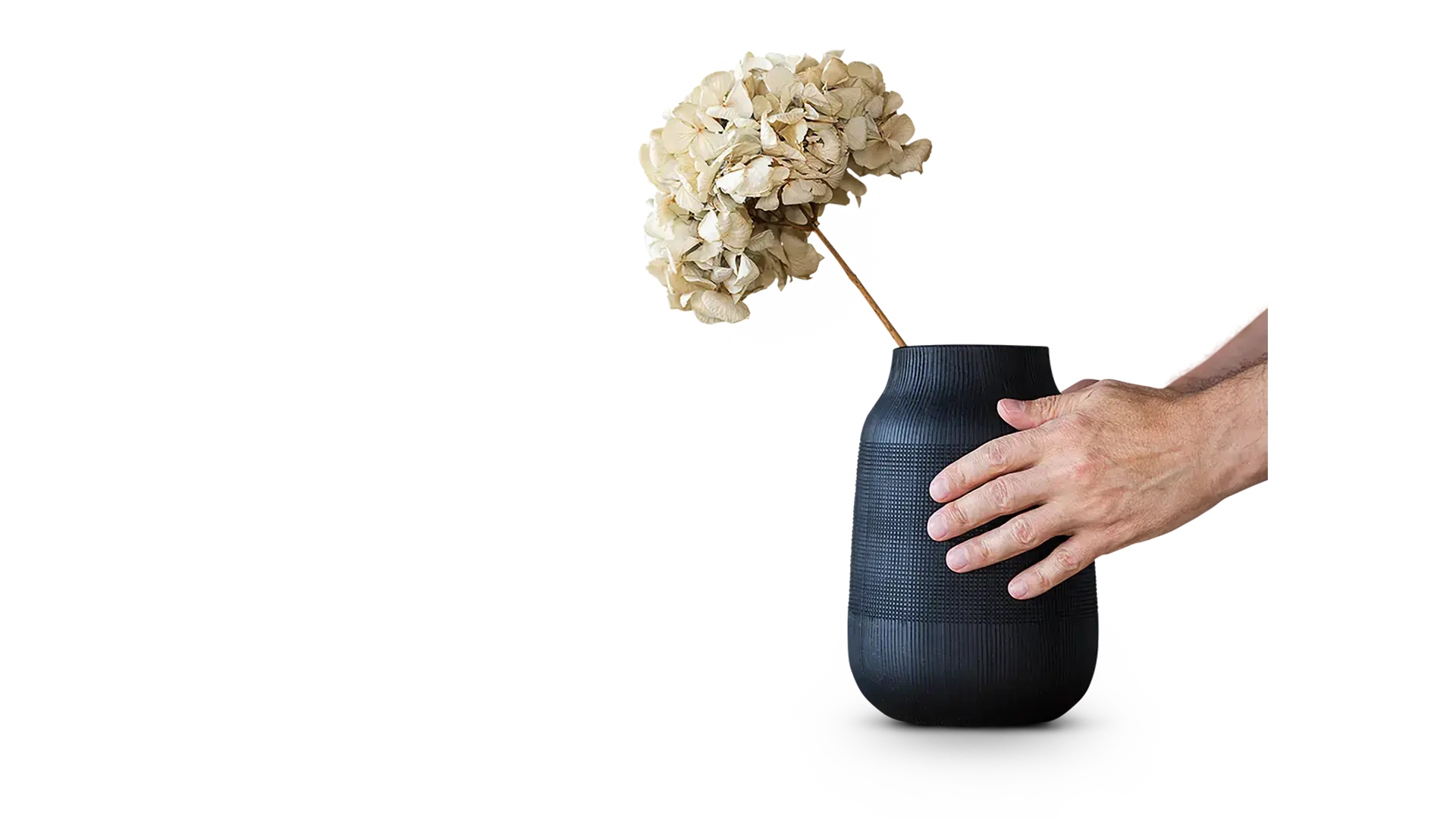 Hände halten Vase mit getrockneter Blume