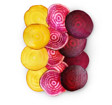 Colorful beet slices