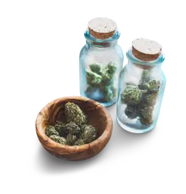 Cannabis dans un bocal