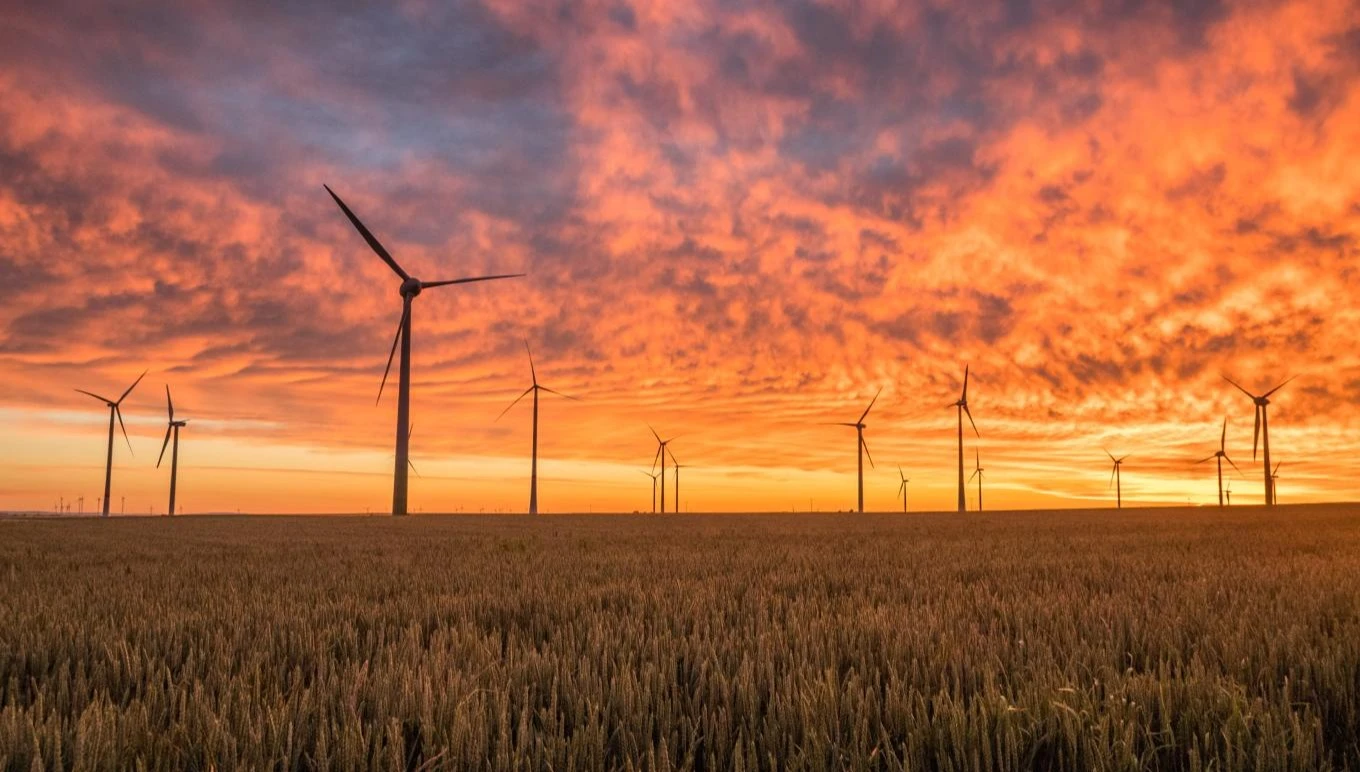 Wind turbines in a field at sunset.