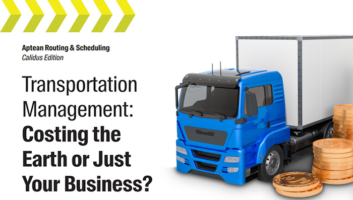 Aptean Routing & Scheduling Whitepaper: Costing the Earth or Just Your ...