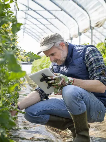 Man with tablet in greenhouse inspecting plants