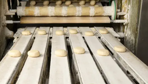 dough on conveyor line