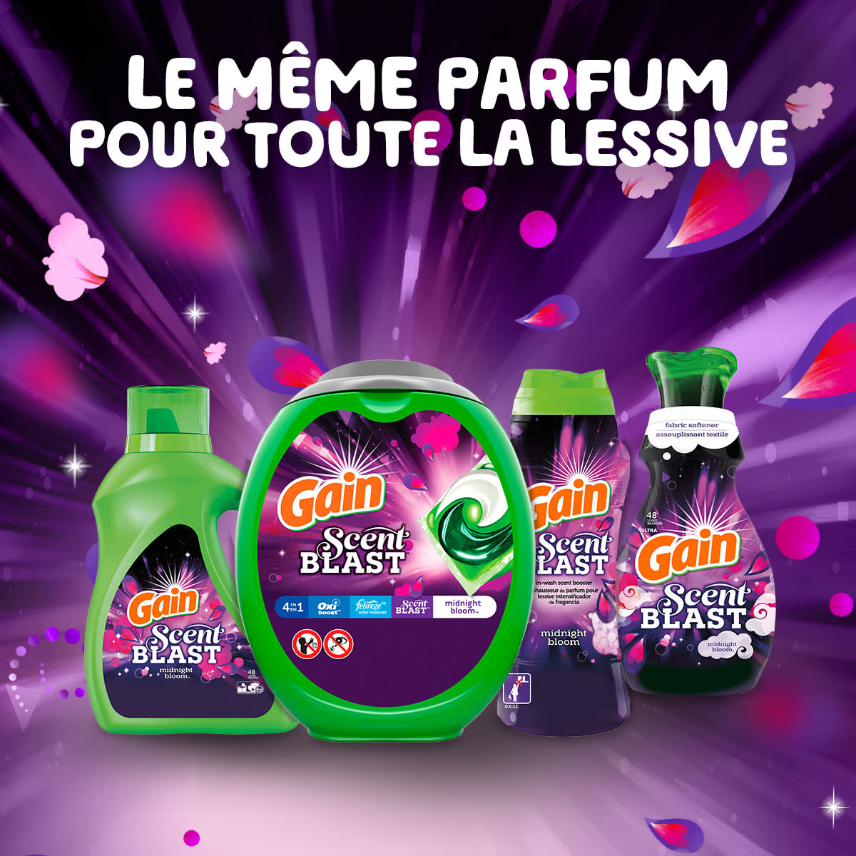 Capsules de détergent à lessive Gain Flings Scent Blast au parfum Midnight Bloom