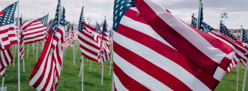 Rows of American flags blowing in wind on grassy lawn