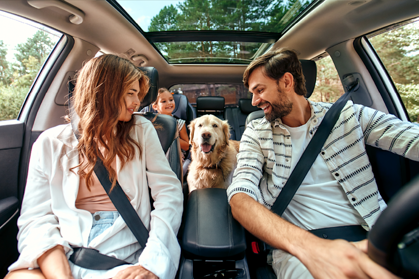 Parents wearing seatbelts driving on roadtrip with their daughter and dog in the back seat