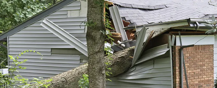 Home roof and siding damage from large tree falling on house during severe weather storm