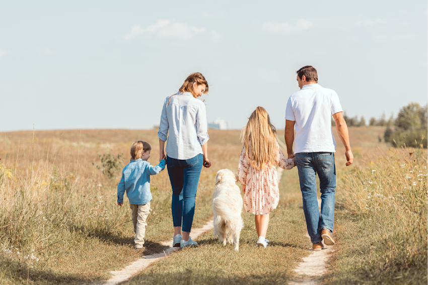 Family with two small children holding while strolling in a field with their dog