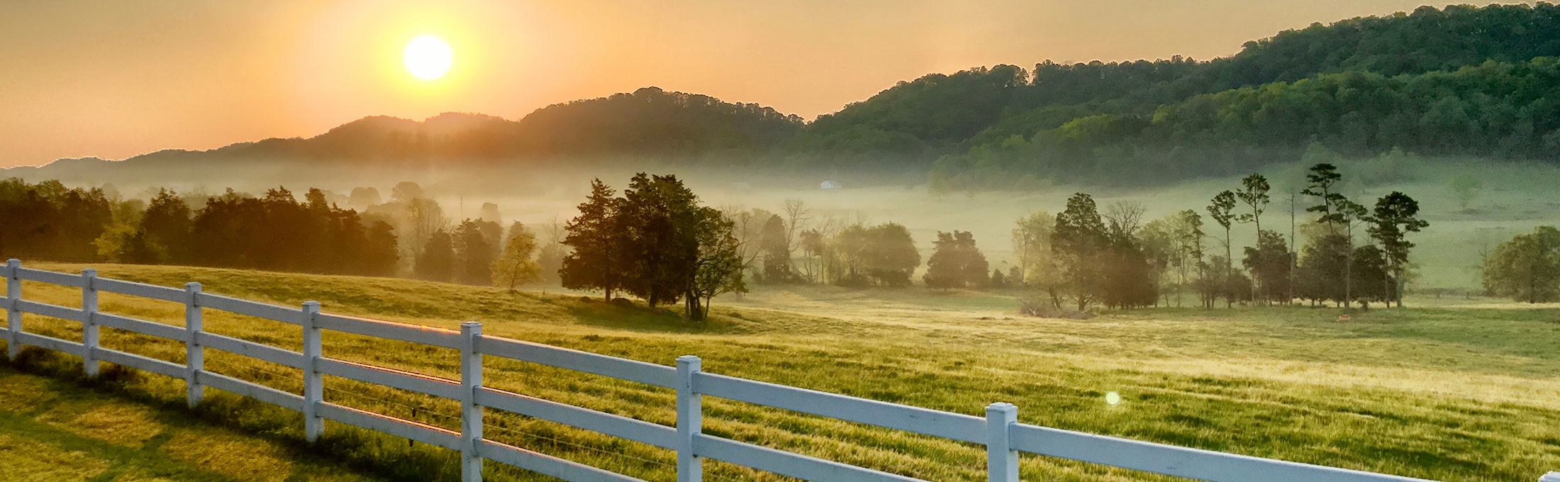 Farm Bureau Insurance