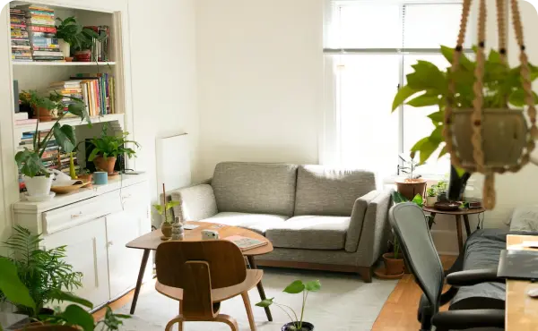 Living room furniture with several plant decorations in apartment being rented