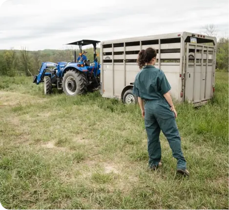 Farmer inspecting horse trailer being pulled by a blue tractor on farm